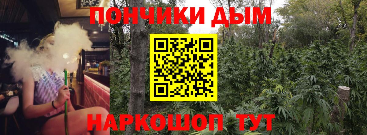 Шишки марихуана марихуана Феодосия